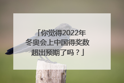你觉得2022年冬奥会上中国得奖数超出预期了吗？