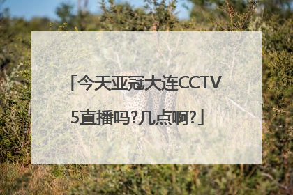 今天亚冠大连CCTV5直播吗?几点啊?