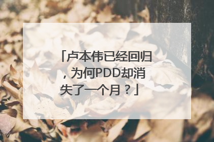 卢本伟已经回归，为何PDD却消失了一个月？