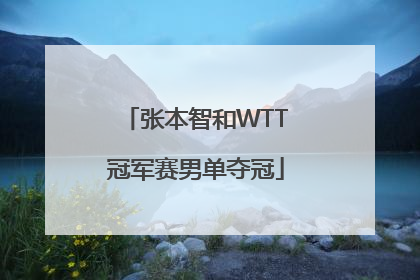 「张本智和WTT冠军赛男单夺冠」乒乓球单打规则