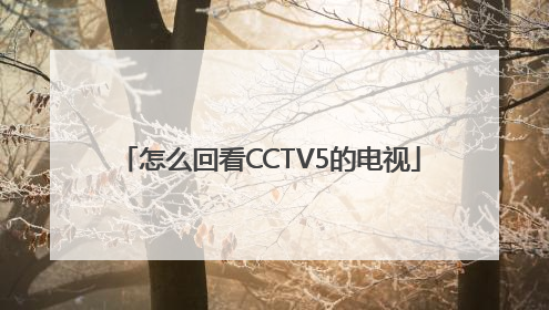 怎么回看CCTV5的电视