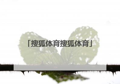 「搜狐体育搜狐体育」体育新闻搜狐体育