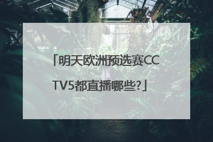 明天欧洲预选赛CCTV5都直播哪些?