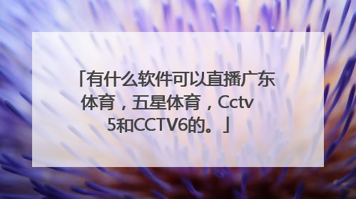 有什么软件可以直播广东体育，五星体育，Cctv5和CCTV6的。