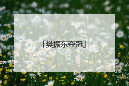 「樊振东夺冠」樊振东夺冠背影