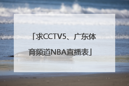 求CCTV5、广东体育频道NBA直播表