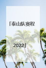 泰山队赛程2022