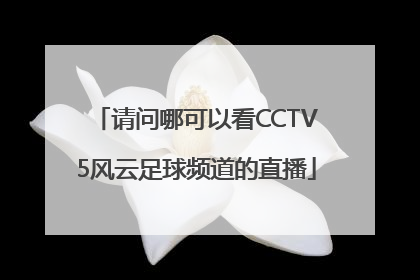 请问哪可以看CCTV5风云足球频道的直播