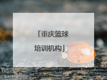 「重庆篮球培训机构」重庆篮球培训机构排名二加一
