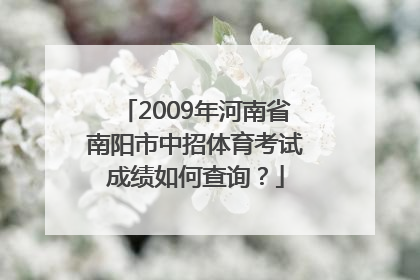 2009年河南省南阳市中招体育考试成绩如何查询？