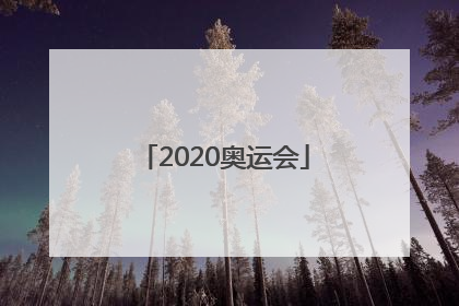「2020奥运会」中国羽毛球在线论坛