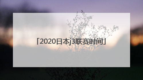 2020日本j3联赛时间