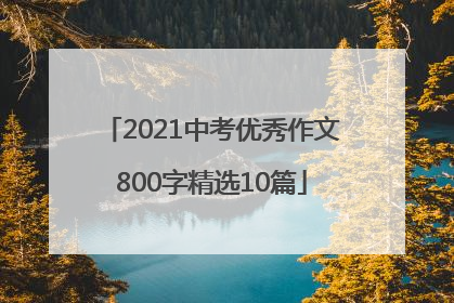 2021中考优秀作文800字精选10篇