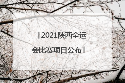 2021陕西全运会比赛项目公布