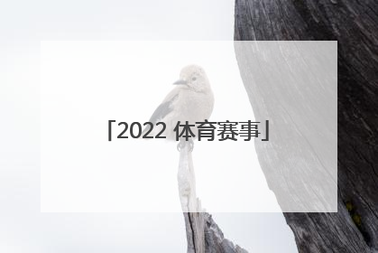 「2022 体育赛事」2022体育赛事1月23日