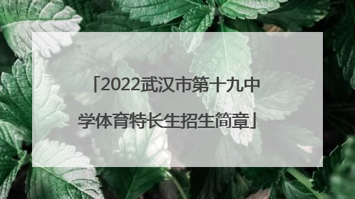 2022武汉市第十九中学体育特长生招生简章