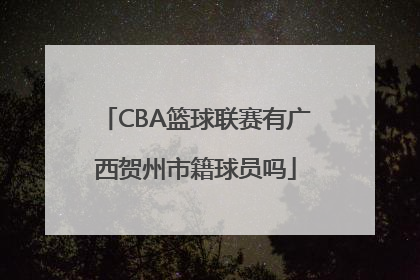 CBA篮球联赛有广西贺州市籍球员吗