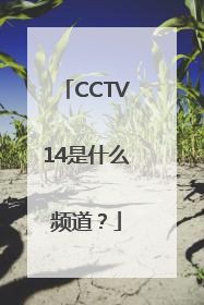 CCTV14是什么频道？