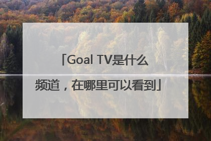 Goal TV是什么频道，在哪里可以看到