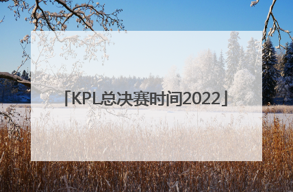 「KPL总决赛时间2022」2020东京奥运会赛程表田径