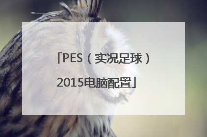 PES（实况足球）2015电脑配置