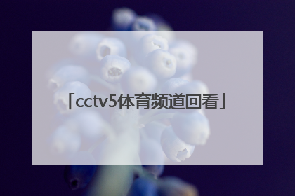 「cctv5体育频道回看」北京爱踢客青少年足球俱乐部