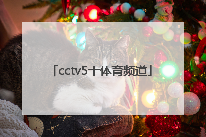 「cctv5十体育频道」CCTV5十体育频道直播