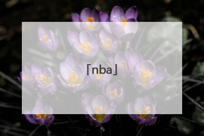 「nba」nba开局一张三分体验卡