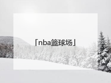 「nba篮球场」nba篮球场图片高清