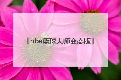 「nba篮球大师变态版」主角在nba打篮球的小说
