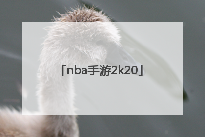 「nba手游2k20」nba手游2k20中文版下载苹果