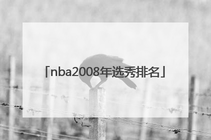 nba2008年选秀排名