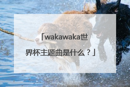 wakawaka世界杯主题曲是什么？